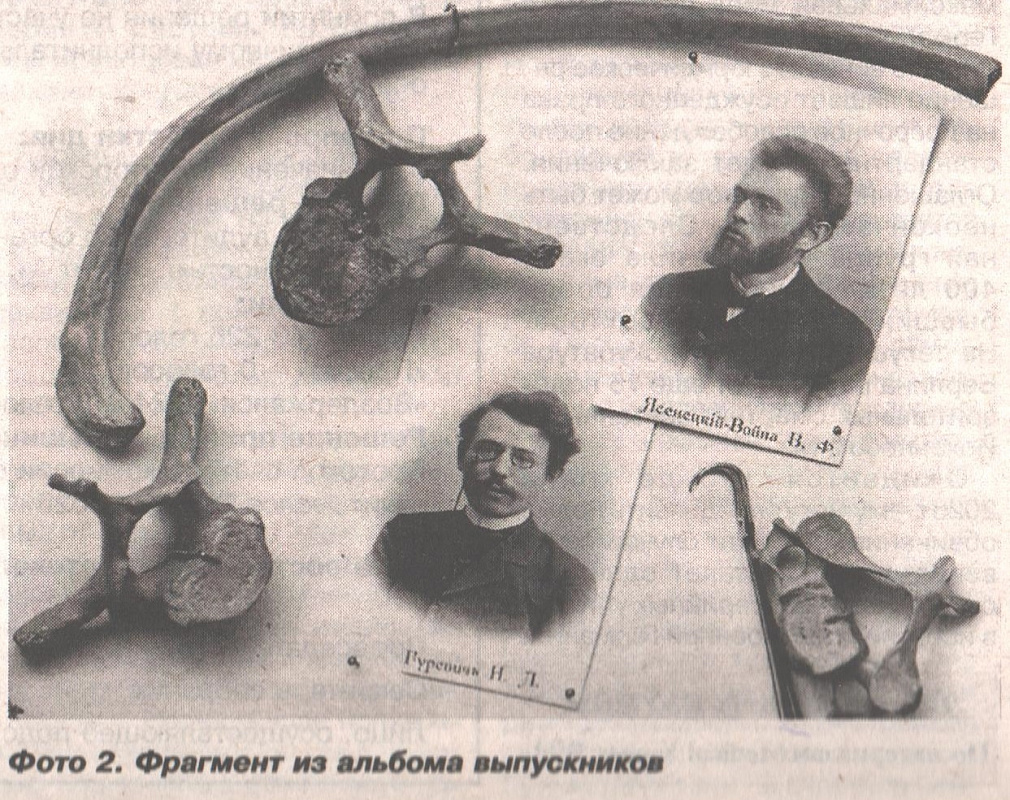 Имена и судьбы. Фамильные трансформации святителя Луки